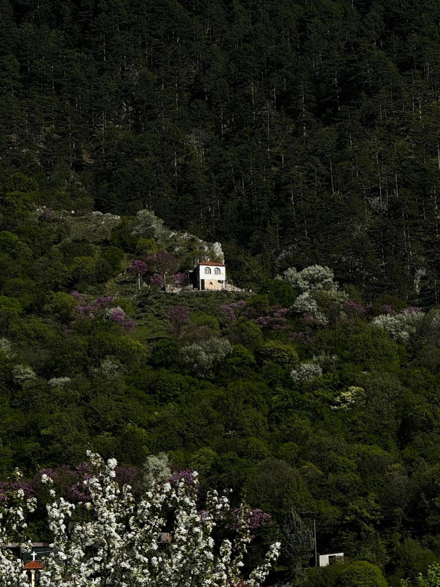 Mountain Serenity Konitsa Exterior photo